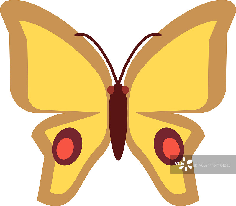 蝴蝶扁平图标黄蛾飞天动物图片素材