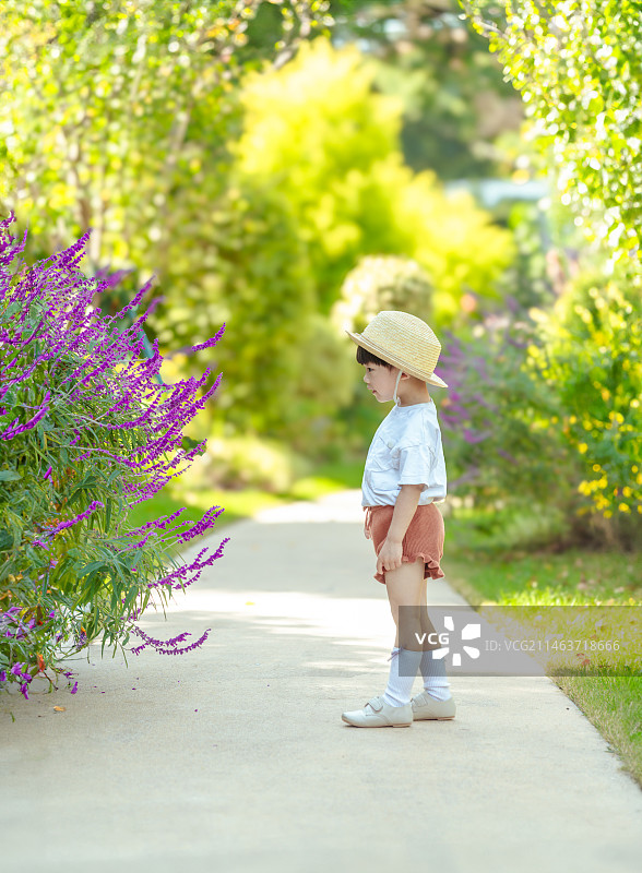 城市花园林荫小道处的草帽男孩图片素材