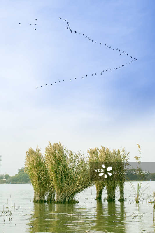 河北衡水市“衡水湖”风光图片素材