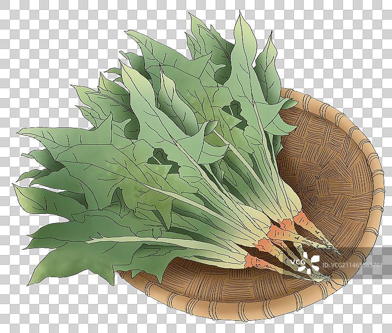竹筐里的菠菜元素图片素材