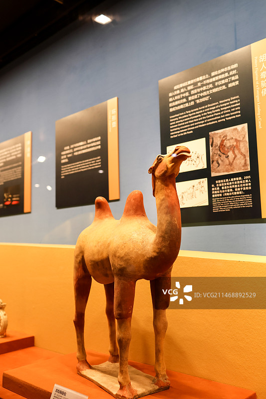 唐代彩绘陶骆驼图片素材