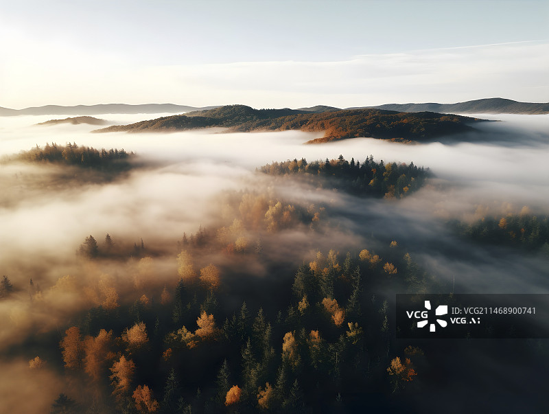 【AI数字艺术】航拍秋天早晨的树林云雾缭绕图片素材