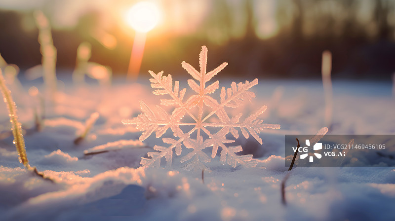 【AI数字艺术】AIGC:二十四节气 冬至 大寒 雪花 雪地 寒冷 降温 冷空气 背景 图像图片素材