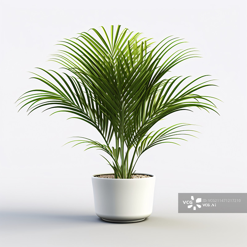 【AI数字艺术】3D绿植装饰植物插画，室内植物家居园艺渲染插图图片素材