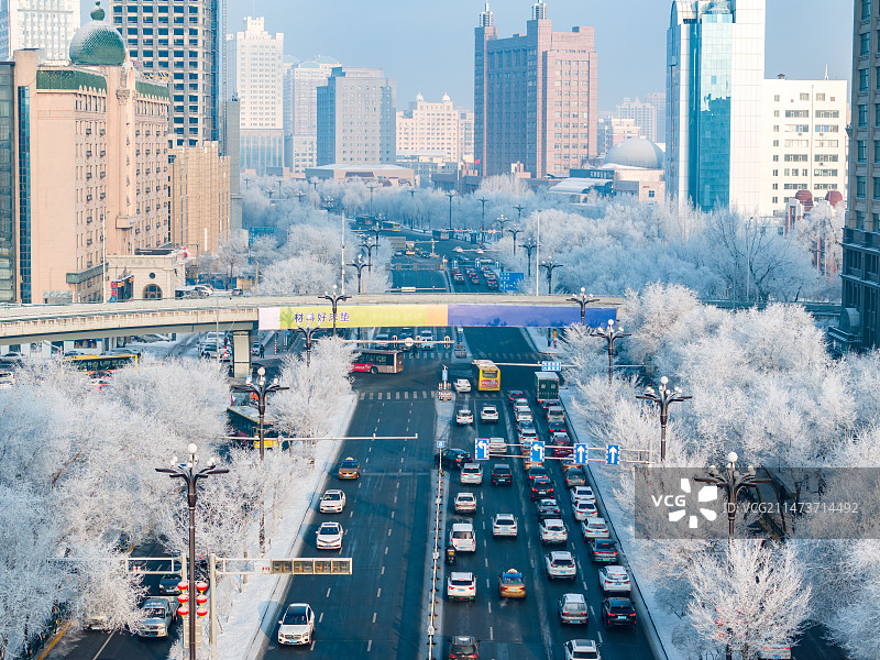 中国黑龙江哈尔滨冬季城市雾凇雪景图片素材