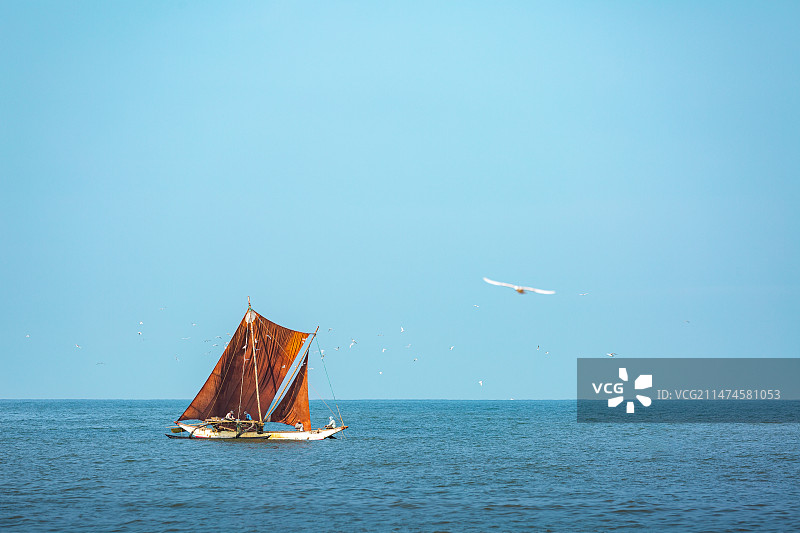 斯里兰卡科伦坡尼甘布鱼市海面上的打渔船图片素材