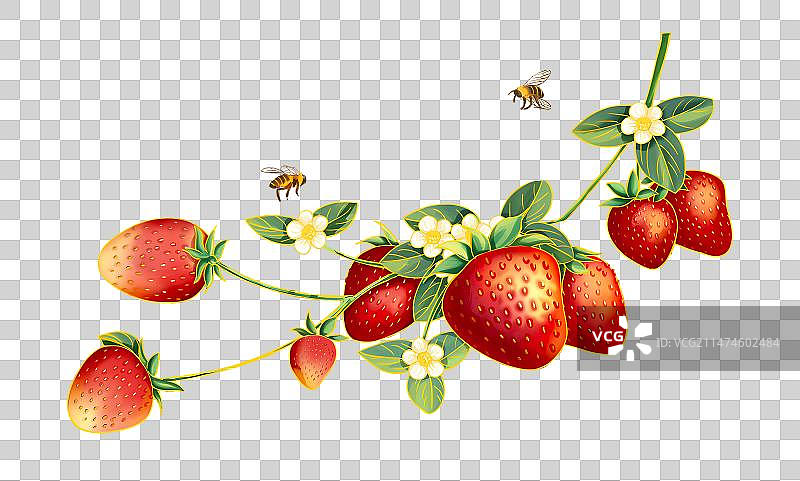 美味多汁的草莓图片素材