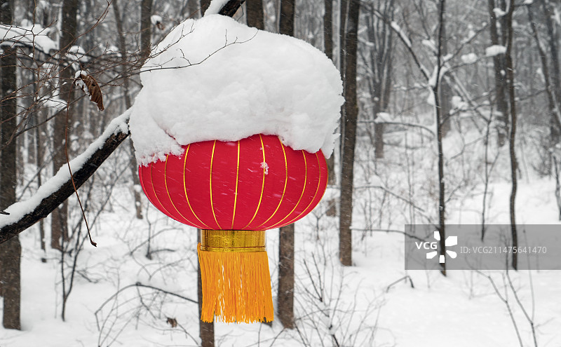 冬日 大雪中大红灯笼图片素材