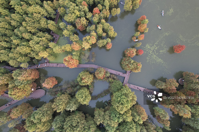 杭州青山湖水上森林郊野公园图片素材