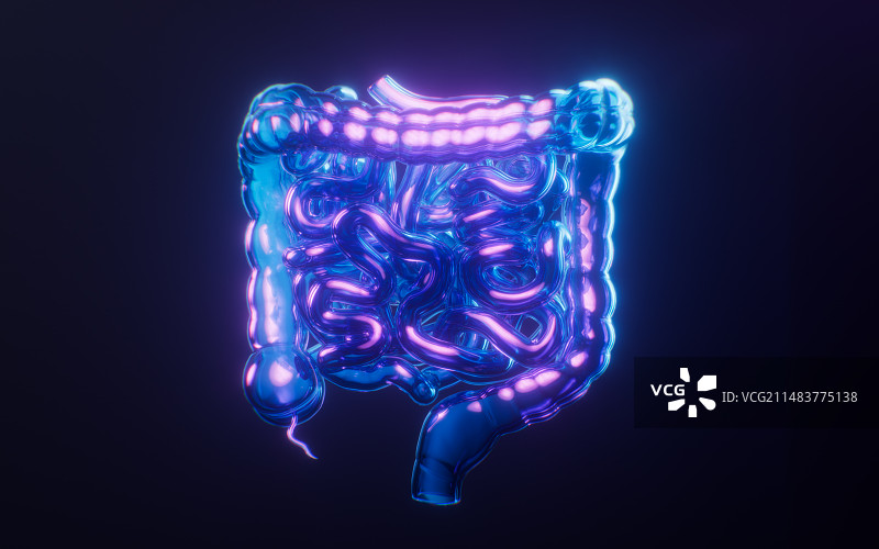 肠道与霓虹灯光效果3D渲染图片素材