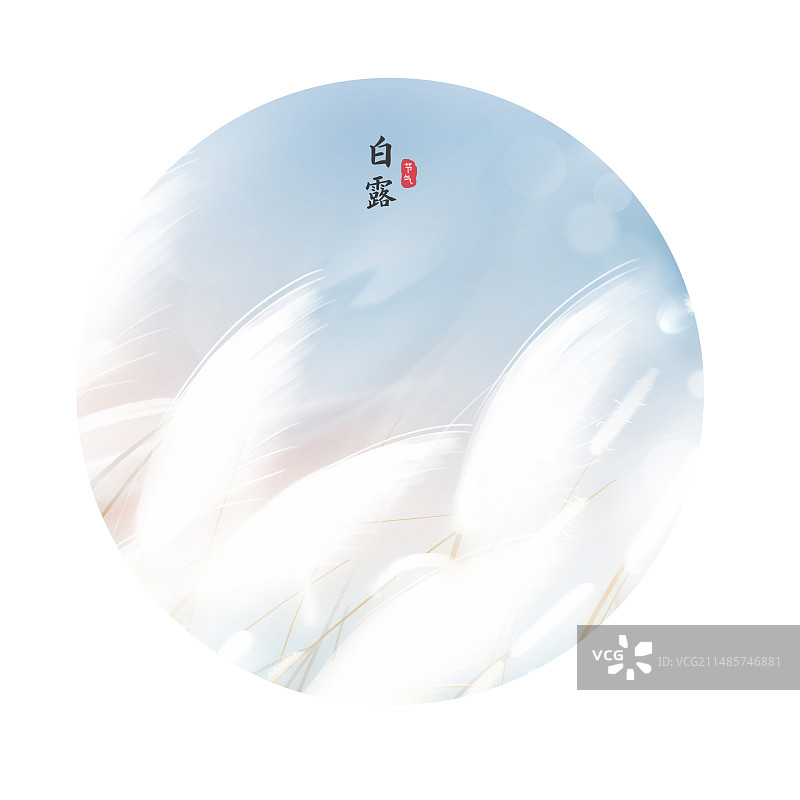中国风二十四节气系列插画海报-白露  风吹白色芦苇荡小清新插画 运动模糊背景图片素材