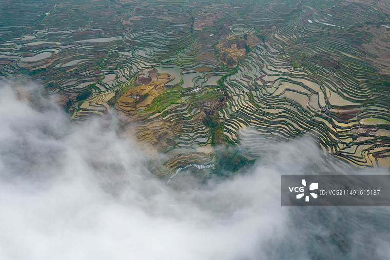 中国云南红河元阳梯田的风光图片素材