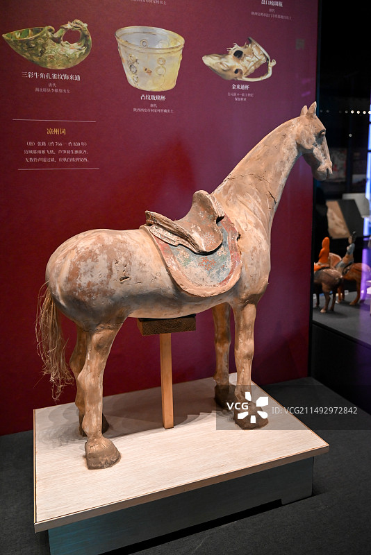 新疆博物馆 唐代彩绘泥塑马俑 阿斯塔纳墓葬出土图片素材