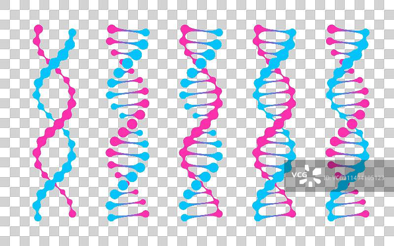 DNA双螺旋分子元球二维平面图片素材