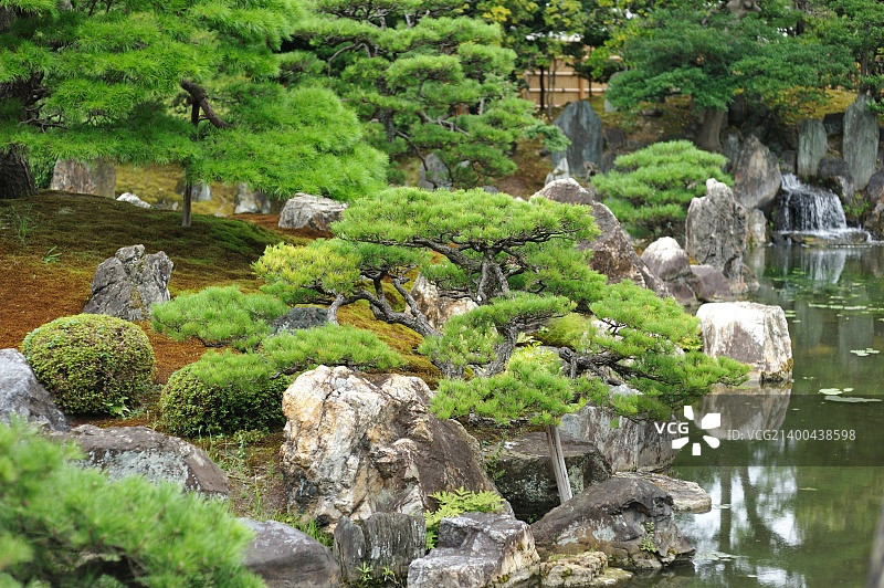 日本京都二条城城堡附近的日本公园图片素材