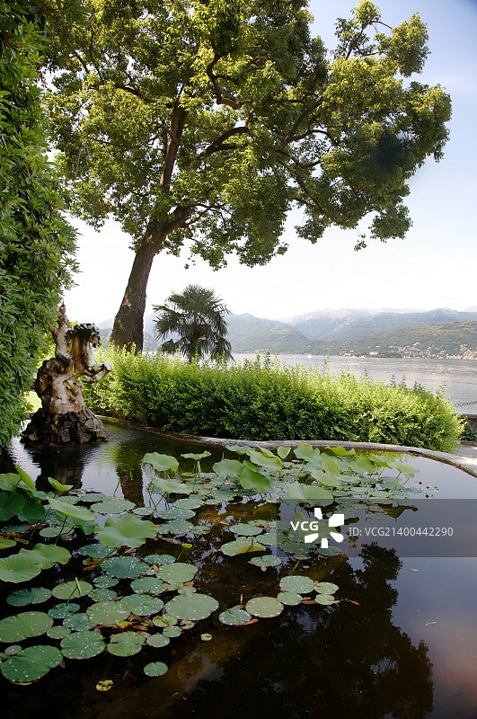 意大利风景:一个古典风格的老别墅池塘，Lago Maggiore，意大利。图片素材