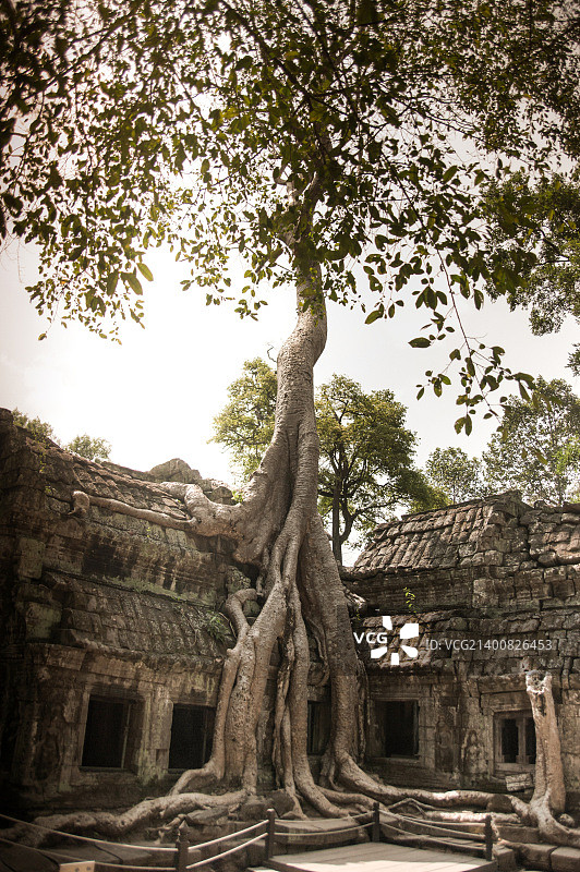 柬埔寨www.my-photo.ch图片素材