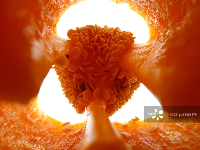 橙色甜椒种子的特写图片素材
