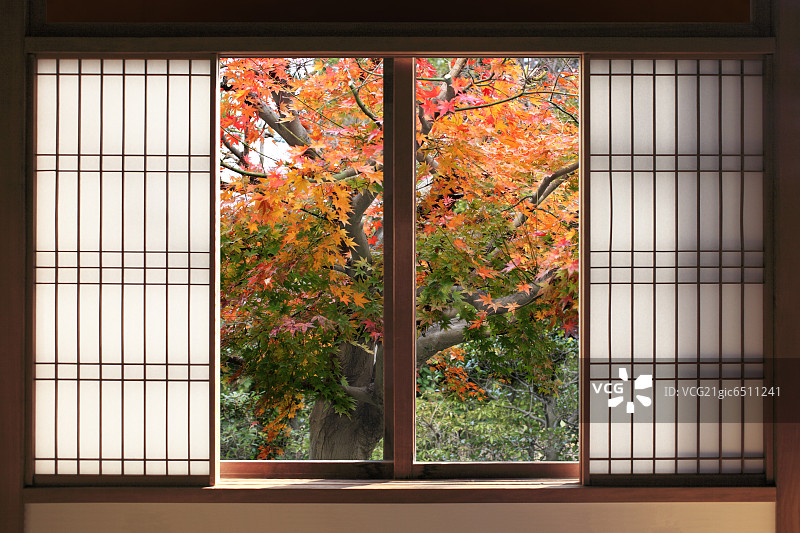 打开日本滑动门与秋天的树在背景图片素材