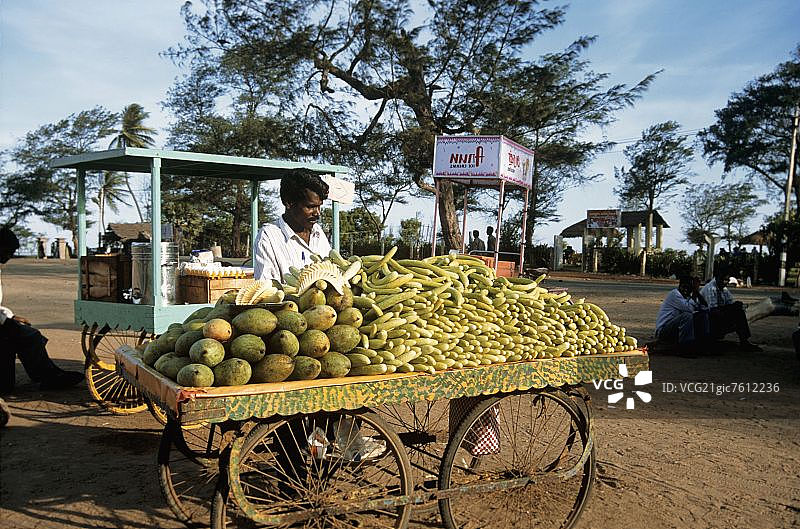 印度蔬菜小贩与木制手推车图片素材