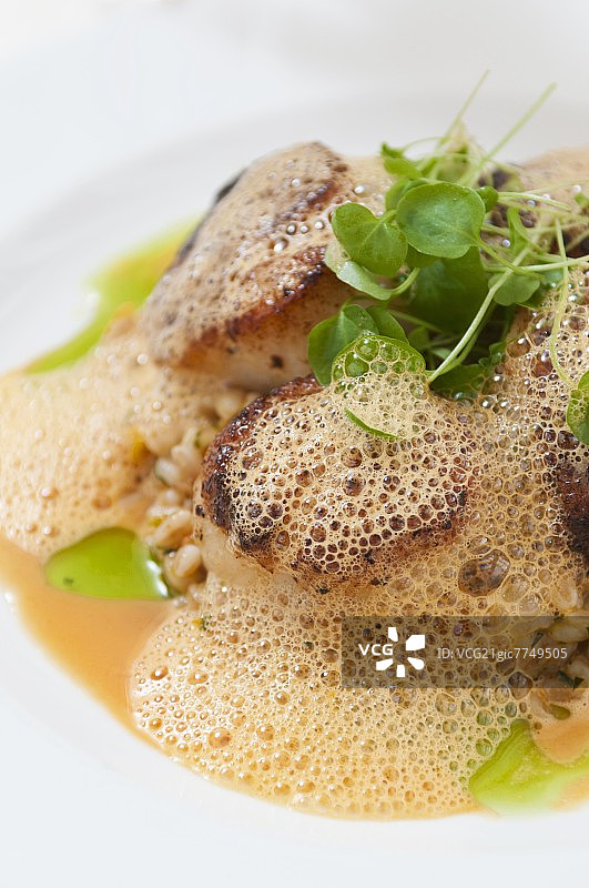 牛肝菌海贝粉，意大利调味饭，甜椒泡沫图片素材