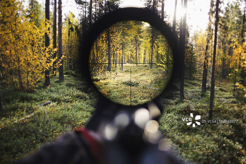 通过步枪瞄准镜看到的树木图片素材
