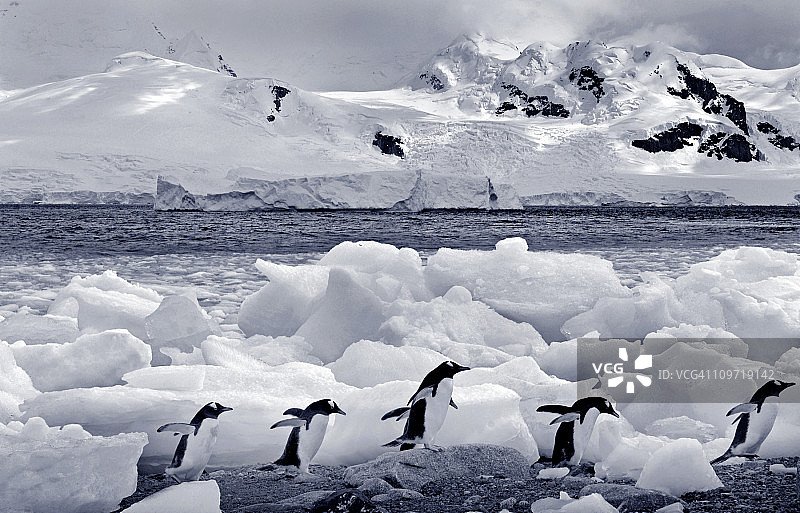 南极洲在单色图片素材
