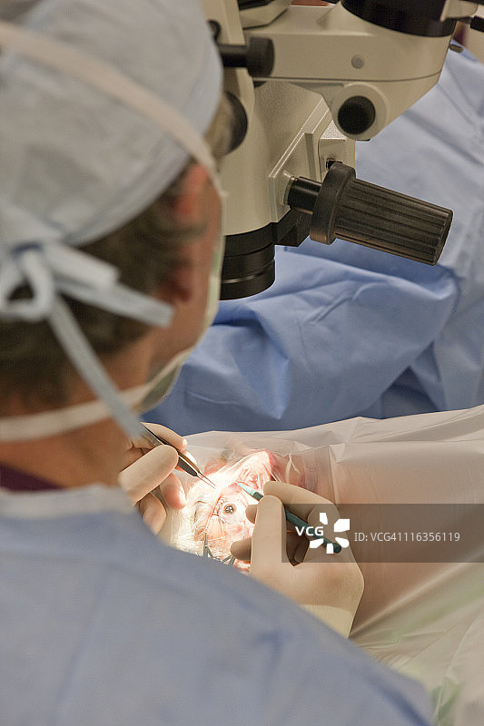 医生使用镊子和微型手术刀来切结图片素材