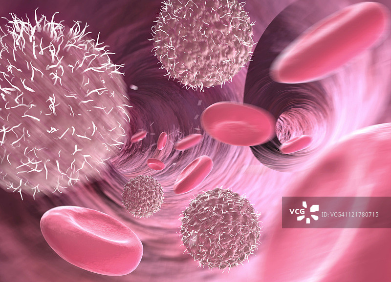 血管中的淋巴细胞和红细胞，计算机生成图片素材