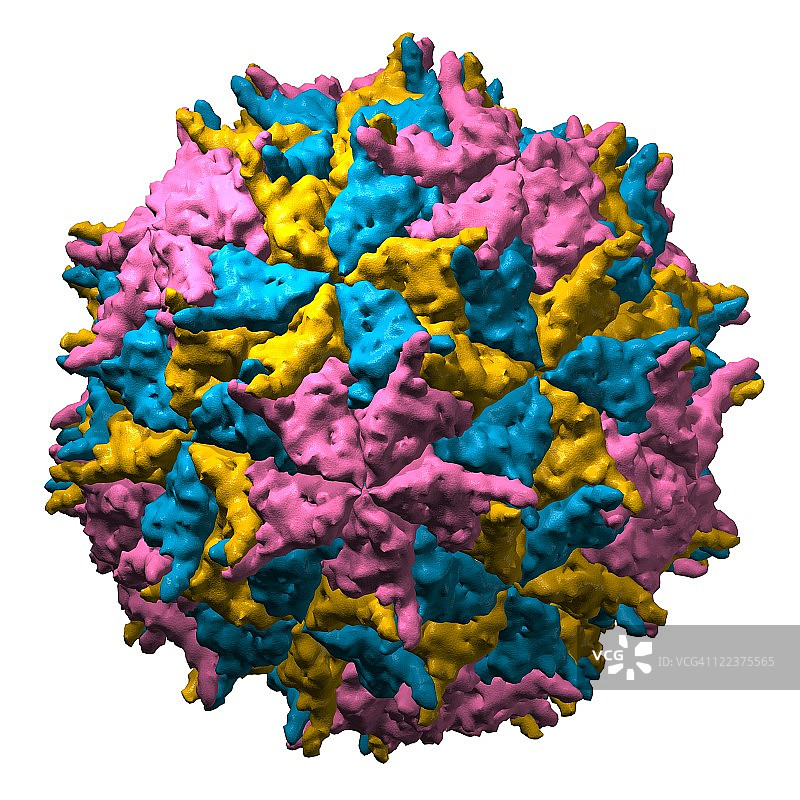 野村病毒颗粒分子模型图片素材