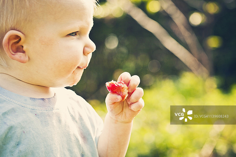 小男孩在吃多汁的草莓图片素材