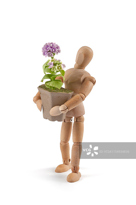 带着花盆的木制人体模型图片素材