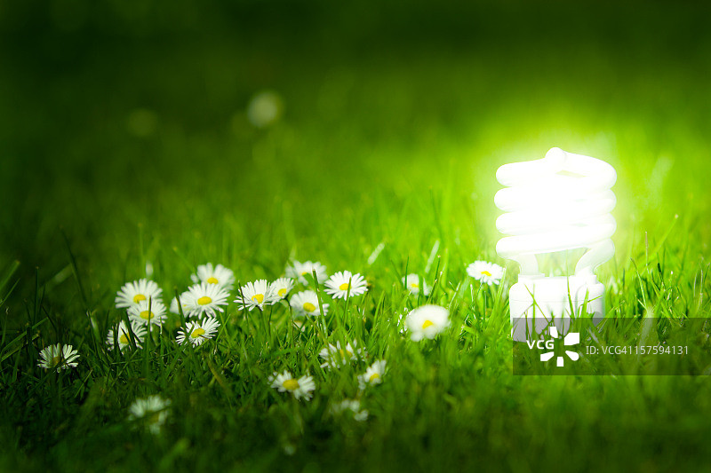 绿色草地上发光的节能灯泡。图片素材