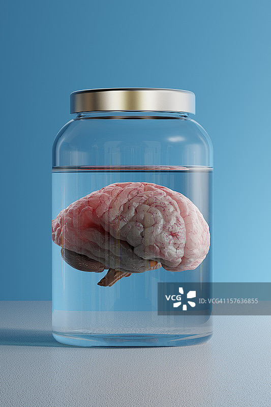 罐子里的大脑图片素材