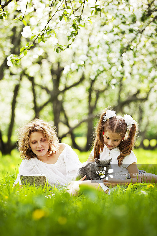 妈妈和女儿在公园的草坪上玩小猫图片素材