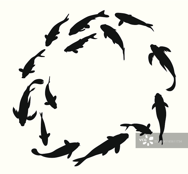 KoiFishCircle，力量的象征图片素材