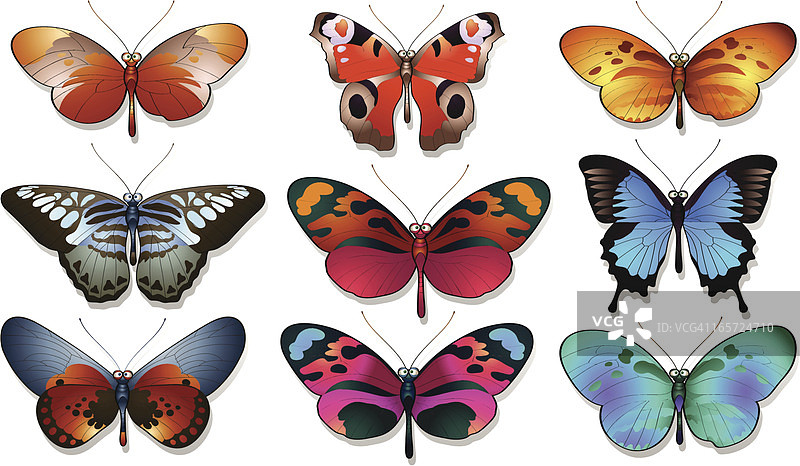 颜色的蝴蝶图片素材