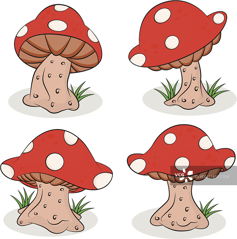 花园的蘑菇图片素材