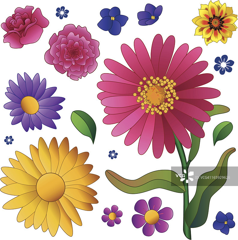 夏季花卉设计元素图片素材
