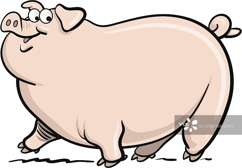 胖猪图片素材