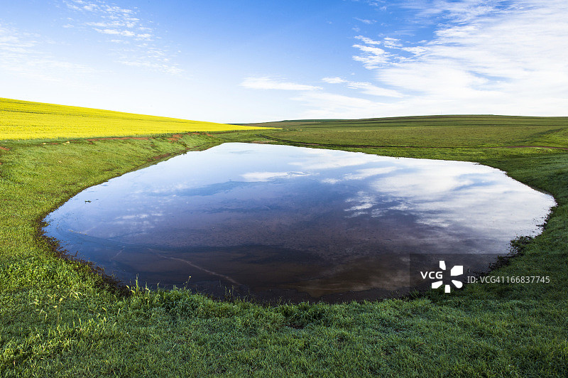南非布莱德斯多普，小麦和油菜籽田之间的农场大坝图片素材