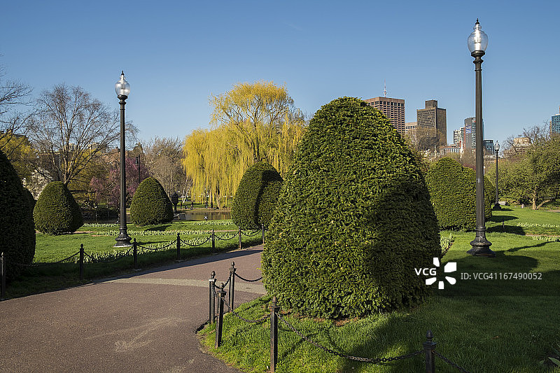 波士顿公园。图片素材