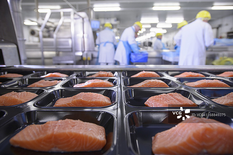 繁忙的食品厂前景包装上的鲑鱼片图片素材