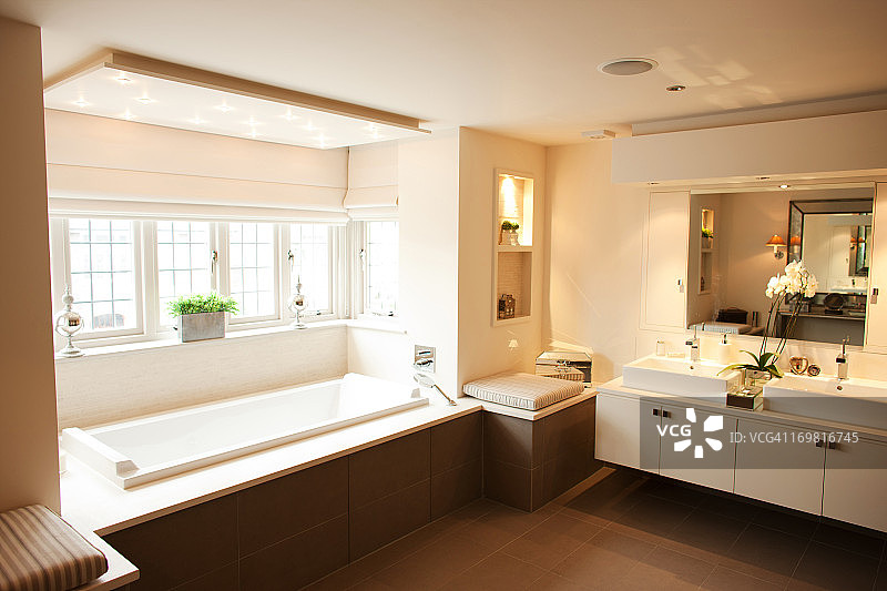 现代浴室和浴缸的内部图片素材