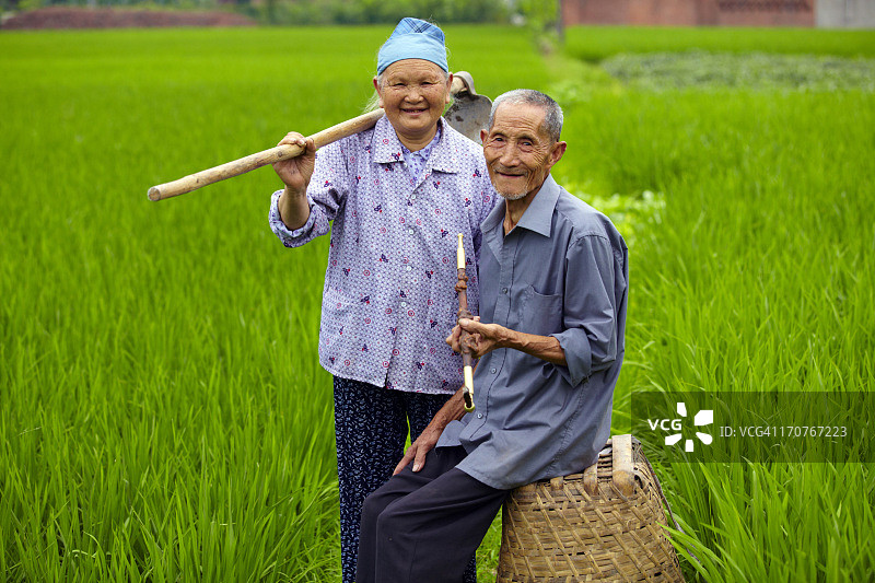亚洲农村的资深农民图片素材