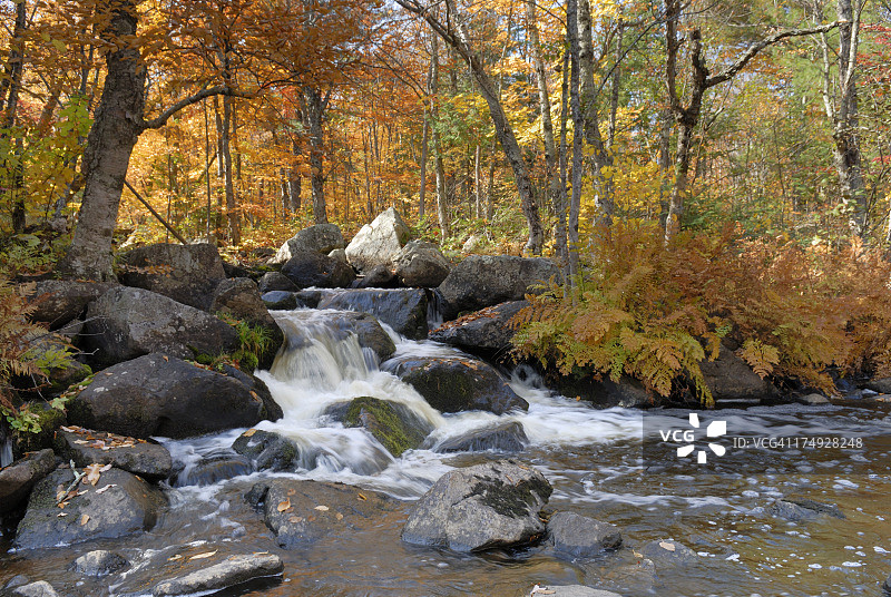 瀑布在美丽的秋天设置图片素材