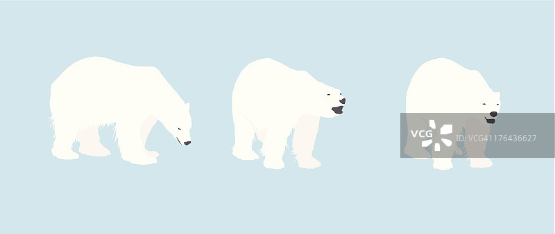 北极熊轮廓图片素材