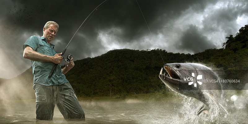 亚马逊渔民捕获危险的帕亚拉鱼图片素材