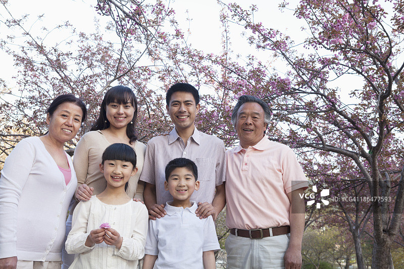 一个微笑的多代家庭在樱花树和欣赏公园在春天的肖像图片素材