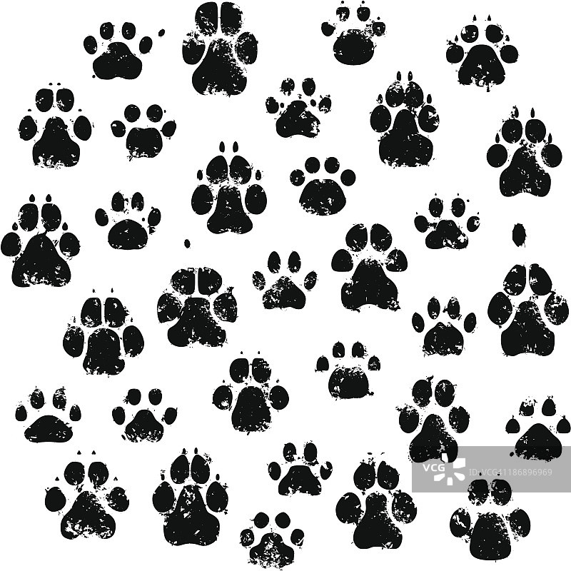 猫和狗的脚印图片素材